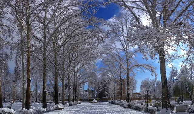 landscape, buildings, urban, town, city, trees, road, lane, cold, nature, outside, mansion, house, home, architecture, blue home