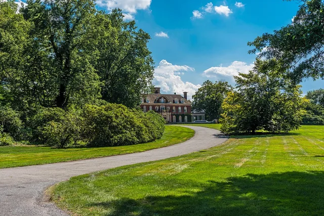 mansion, long driveway, estate, nature, trees, blue sky, summer, green sky. 4 code checks behind a US mansion purchase